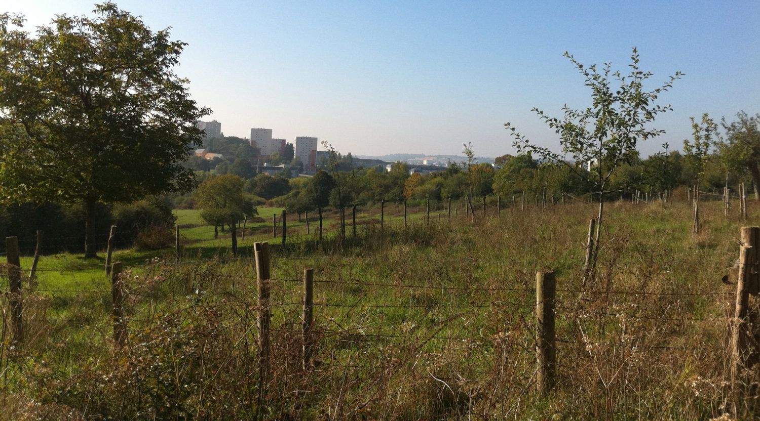 Christophe Rouillon: Coulaines' Unchallenged Mayor Seeks Fifth Term